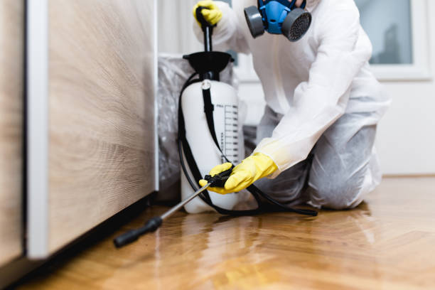 Best Mosquito Control Services  in Jacinto City, TX