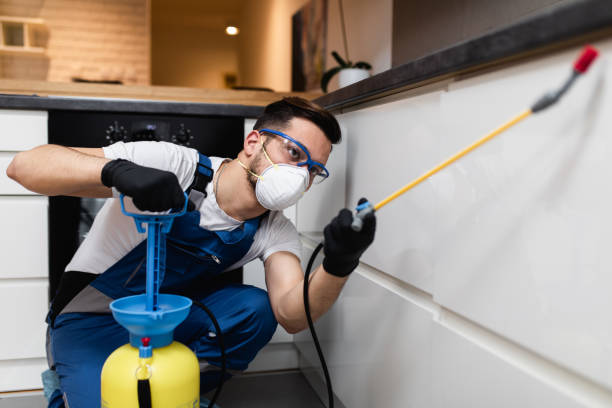 Best Termite Control Services  in Jacinto City, TX