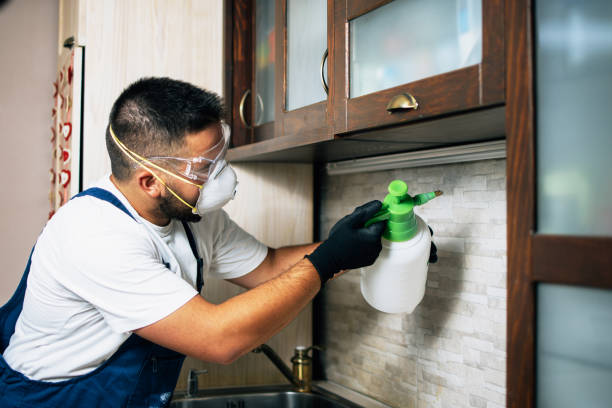 Best Emergency Pest Control  in Jacinto City, TX