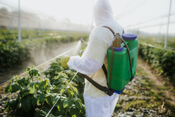 Flea Control Services in Jacinto City, TX